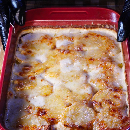 Un gratin dauphinois sortant du four