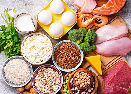 Pourquoi les protéines devraient avoir une place dans chacun de vos repas ?